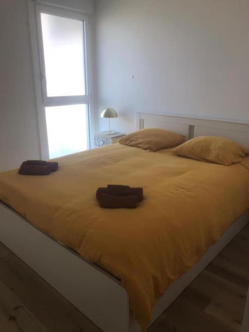 Superbe Appartement Arcachon La Teste-de-Buch Bagian luar foto